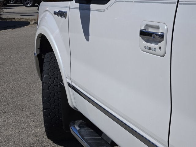 2010 Ford F-150 Platinum
