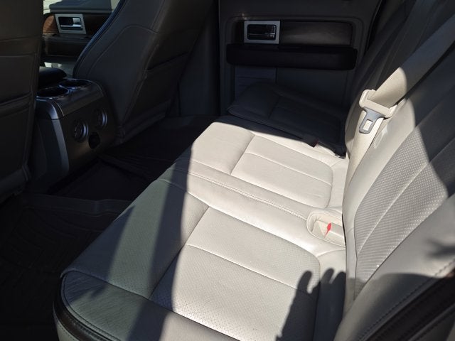 2010 Ford F-150 Platinum