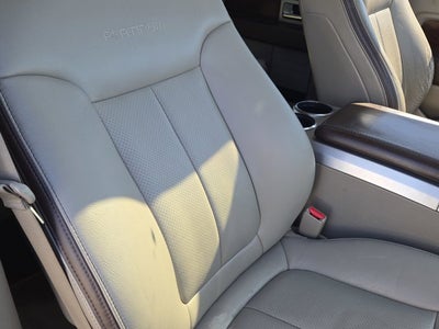 2010 Ford F-150 Platinum