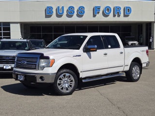 2010 Ford F-150 Platinum