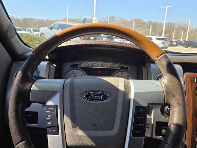 2010 Ford F-150 Platinum