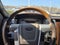 2010 Ford F-150 Platinum